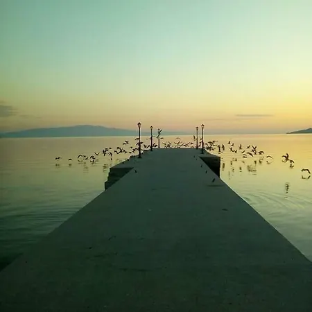 Almira - To Let * Nea Roda
