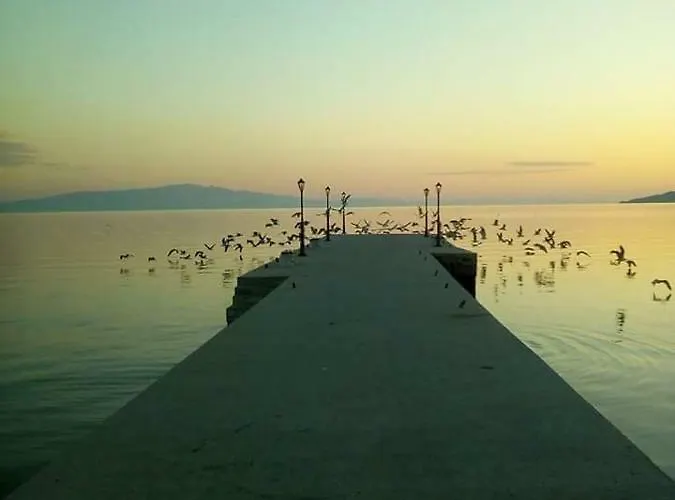 Almira - To Let * Nea Roda